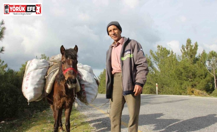 Zeki Amca’nın en büyük yardımcısı küheylanı