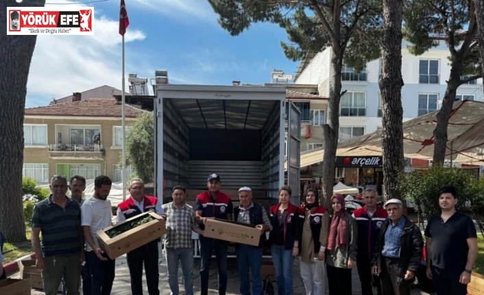 Bozdoğan’da 60 bin turşuluk biber fidesi dağıtıldı