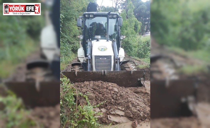 Bozdoğanda yağış nedeniyle heyelan meydana geldi