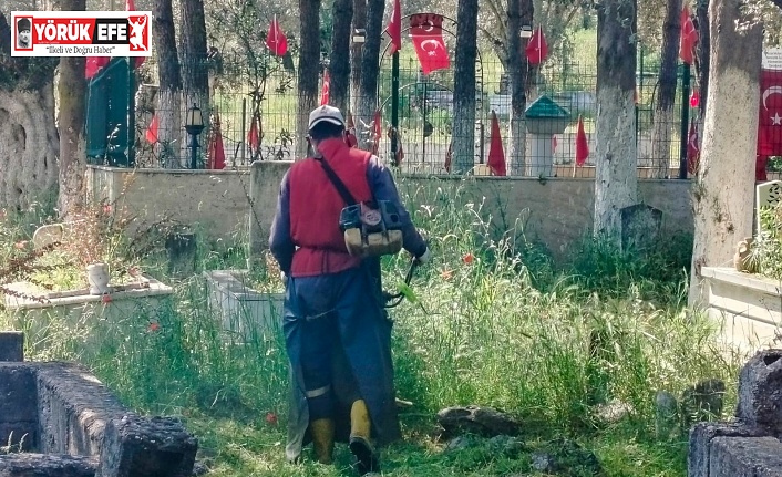 Efeler Belediyesi Mezarlıklarda Bakım Çalışmalarını Sürdürüyor