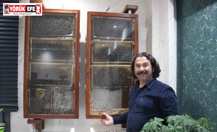Fabrikasında 5 bin işçi ile ’bal’ gibi çalışıyor