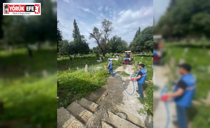 Hamzabali Mezarlığı bakıma alındı