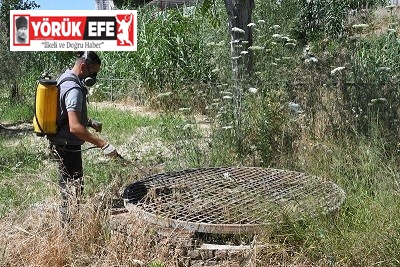 Kuşadası Belediyesi halk sağlığı için vektörel mücadelesini sürdürüyor