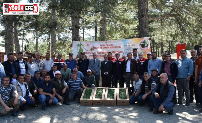 Kuyucak’ta 220 bin domates fidesi dağıtıldı