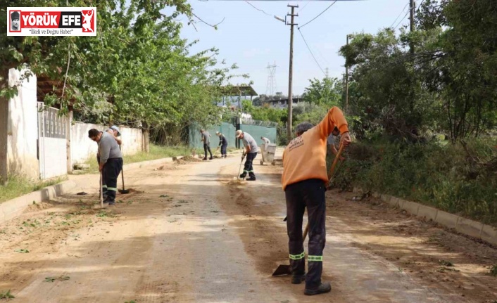 Nazilli’de yoğun yağış sonrası temizlik mesaisi