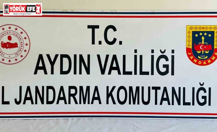 Nişanda takılan altınları alıp kaçtı, jandarma yakalayıp teslim etti