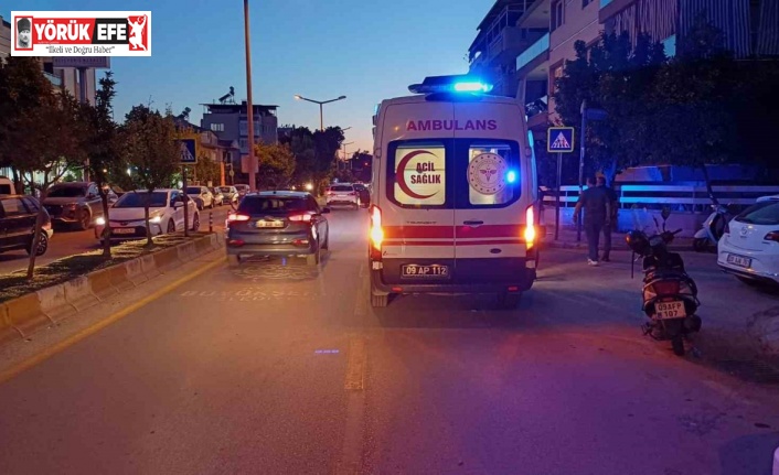 Yola fırlayan kedi kazaya neden oldu: 1 yaralı
