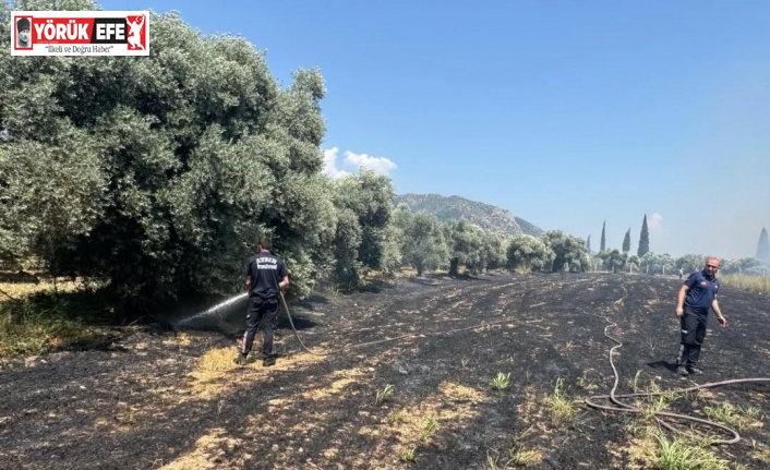 Başkan Kaya’dan yangın uyarısı: "Açık alanlarda ateş yakmayın"