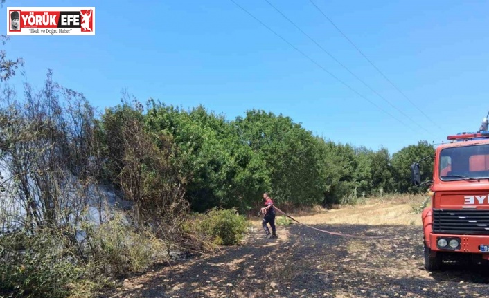 Bozdoğan’da arazi yangını