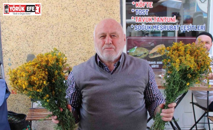 Bu çiçek hediye için değil sağlık için alınıyor