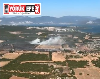 Didim makilik yangını kısmen kontrol altına alındı