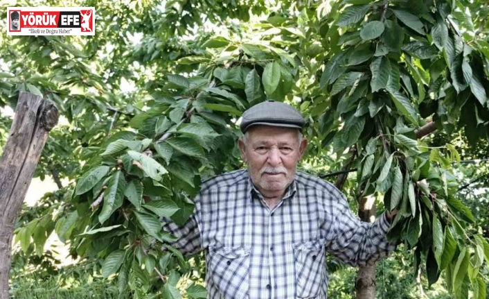 Ege bu yıl meyveye hasret