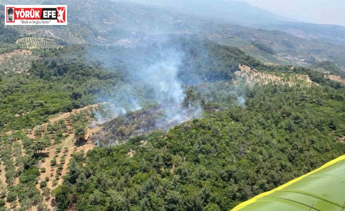 Germencik’te orman yangını