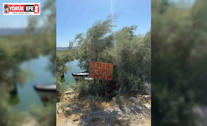 İzinsiz tekne turunu Jandarma sonlandırdı