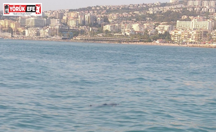 Kuşadası’nda denizde ceset bulundu