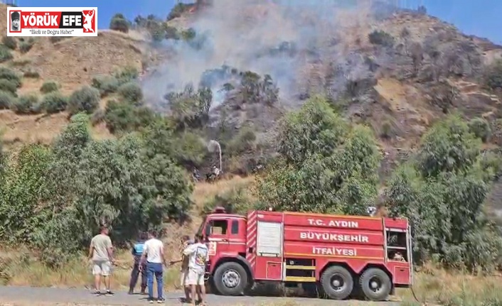 Nazilli’de tarım arazisinde yangın çıktı