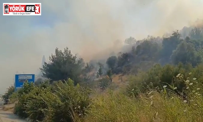 Söke’deki yangın ormana sıçradı