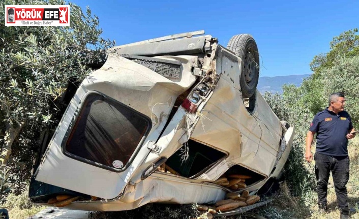 Ticari araç zeytinliğe uçtu: 1 ölü