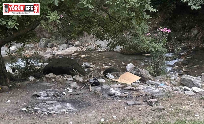 Yasağı delip ormanda mangal yaktılar, jandarmadan kaçamadılar