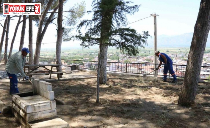 Yenipazar Çamlık Mesire Alanı düzenleniyor