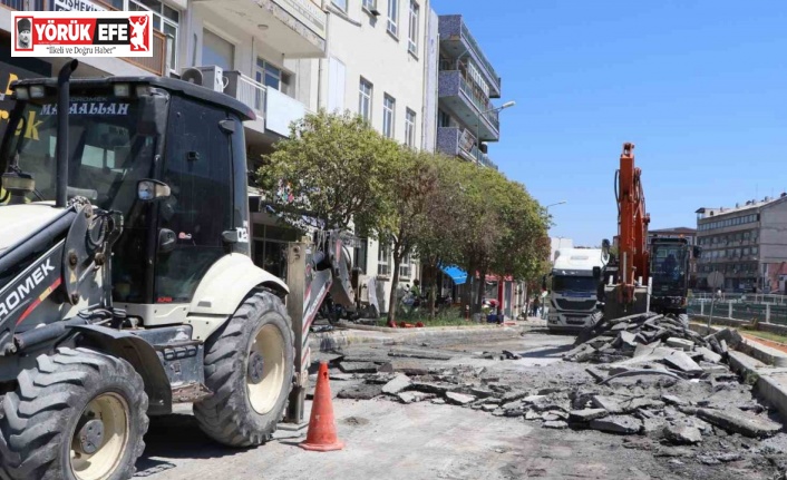 Büyükşehirin Sökede yol çalışması devam ediyor