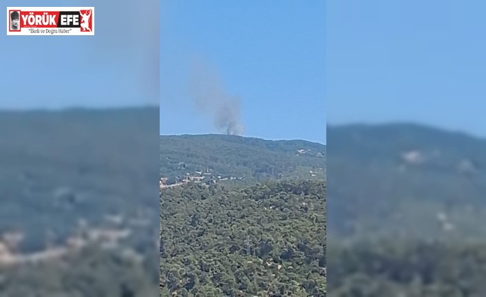 Çine’de orman yangını