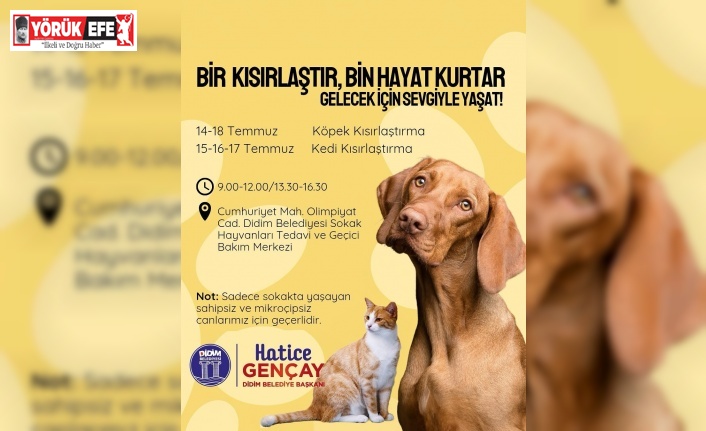 Didim Belediyesi’nden sokak hayvanlarına ücretsiz kısırlaştırma hizmeti