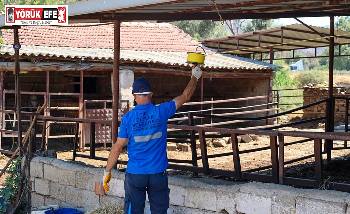 Efeler’de Sineklerle Mücadele Aralıksız Sürüyor