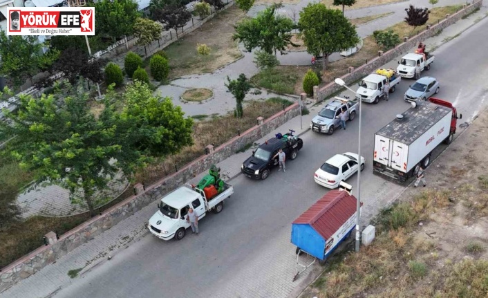 Nazilli Belediyesi’nden haşere ile etkin mücadele