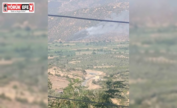 Nazilli’de makilik ve zirai alan yangını