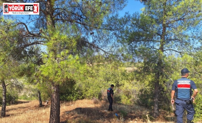 Ormanlara giren ve ateş yakanlara ceza yağdı