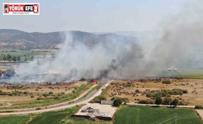 Rüzgarla büyüyen yangın, hayvan çiftliğini tehdit etti