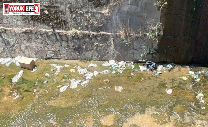 Tabakhane Deresi, duyarsız vatandaşların hedefi oldu