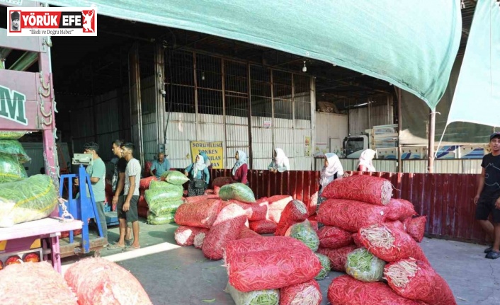 Acarlar’da eli ayağı tutan herkes çalışıyor