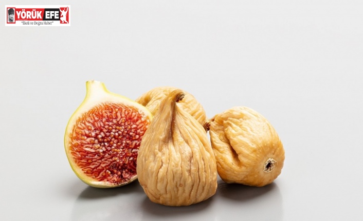 Aydın TARİŞ’te incir alım fiyatları belirlendi