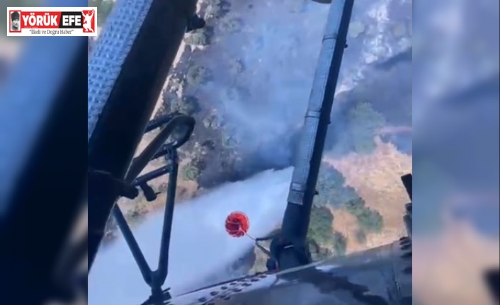 Aydın zirai alan yangını kontrol altına alındı