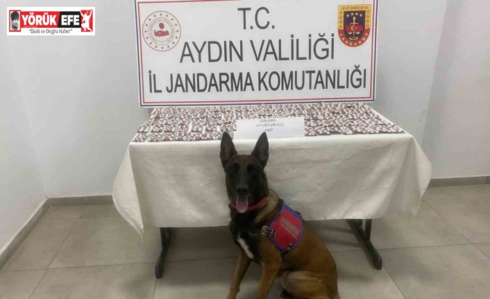Aydın’da jandarmadan uyuşturucu operasyonu: 3 gözaltı