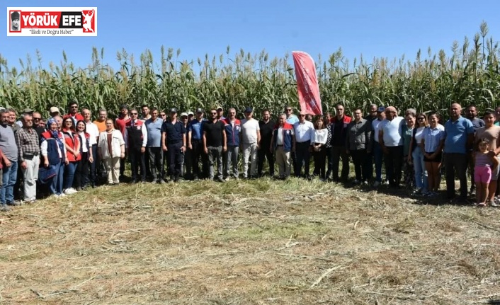 Aydın’da kaba yem açığını kapatacak proje meyvelerini veriyor