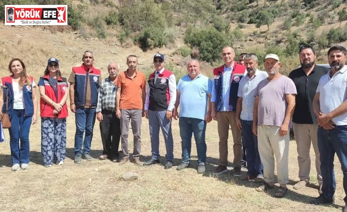 Aydın’da mera ıslah projeleri sürüyor