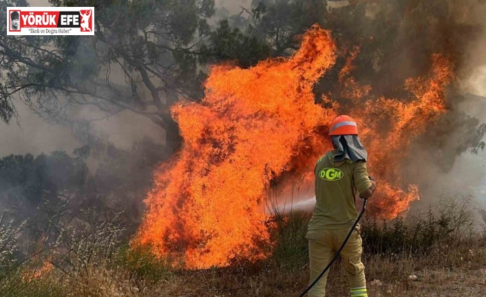 Aydın’da ormanlar için kırmızı alarm
