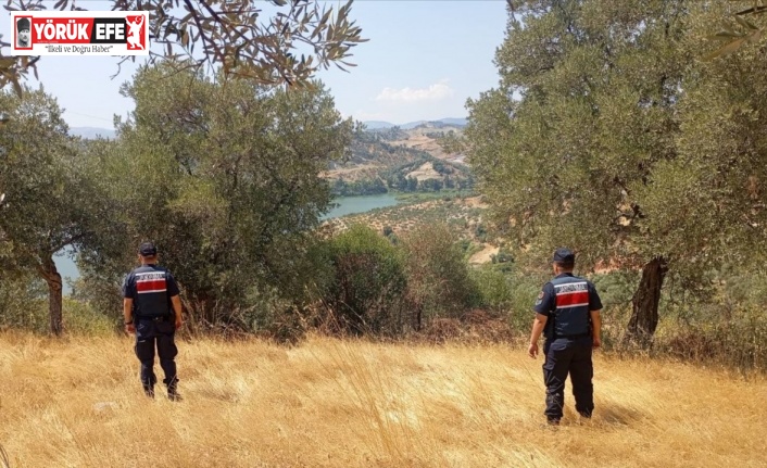 Aydın’da ormanlar jandarma gözetiminde