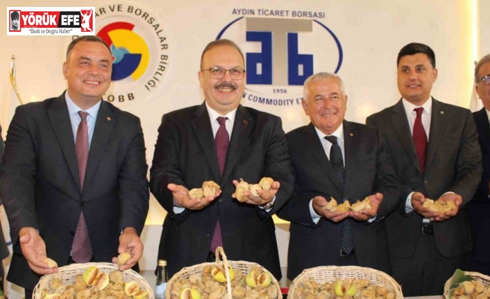 Aydın’da sezonun ilk kuru inciri 800 liradan satıldı