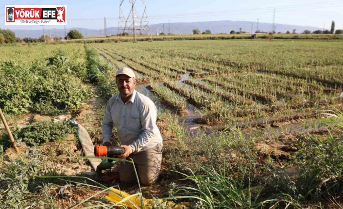 Aydın’da su kıtlığı çiftçilerin mesai saatlerini değiştirdi