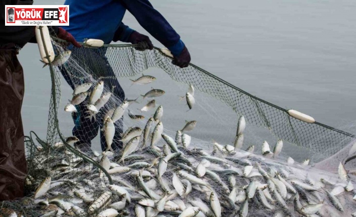 Aydın’da su ürünleri av sezonu törenle açılacak