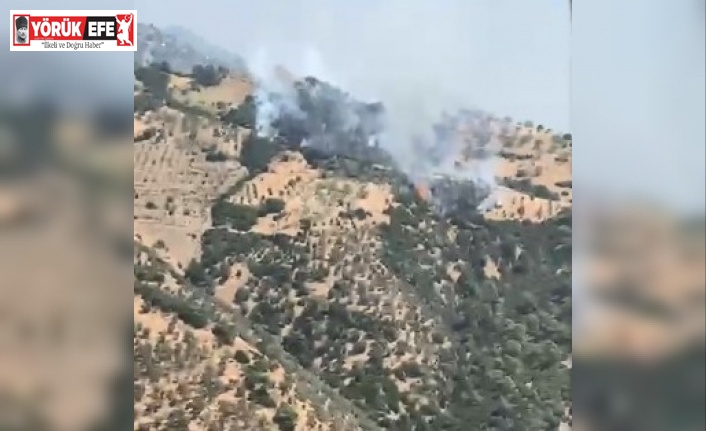 Aydın’da zirai alandaki yangını söndürme çalışmaları devam ediyor