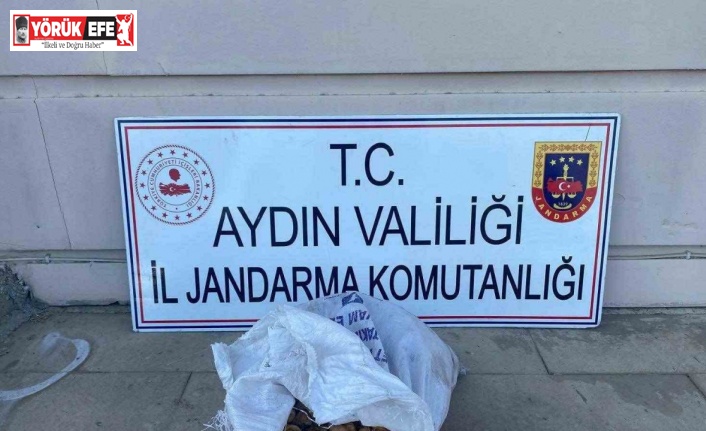 Bahçeden 50 kilo incir çalan şüpheliler jandarmadan kaçamadı