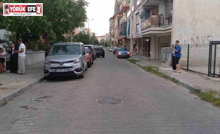 Balıkesir’deki deprem Aydın’da da hissedildi