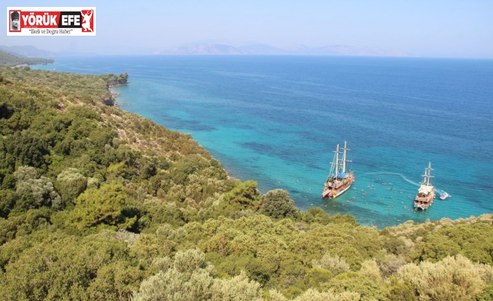 Başkan Sürücü: "Milli Parkı hep birlikte korumalıyız"