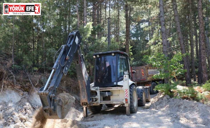 Bozdoğan’da yayla yollarında çalışma başlatıldı