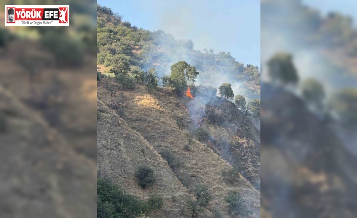 Buharkent’te orman yangını